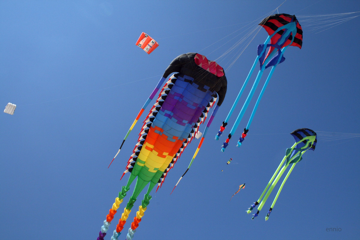 I figli del vento.(2266)