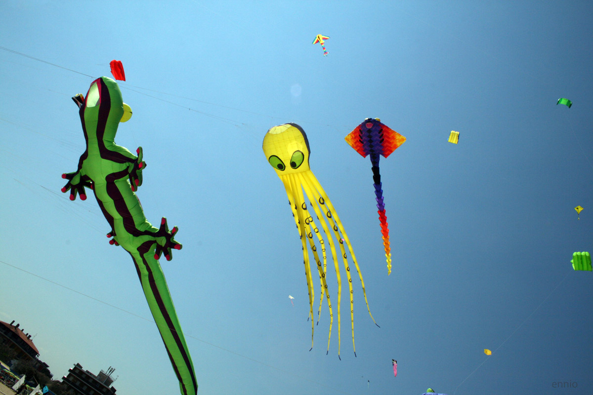 I figli del vento.(2269)