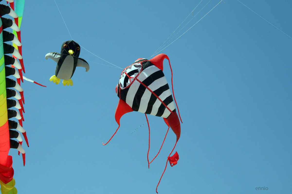 I figli del vento.(2273)