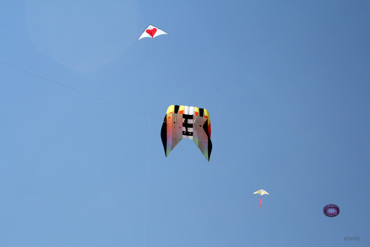 I figli del vento.(2291)