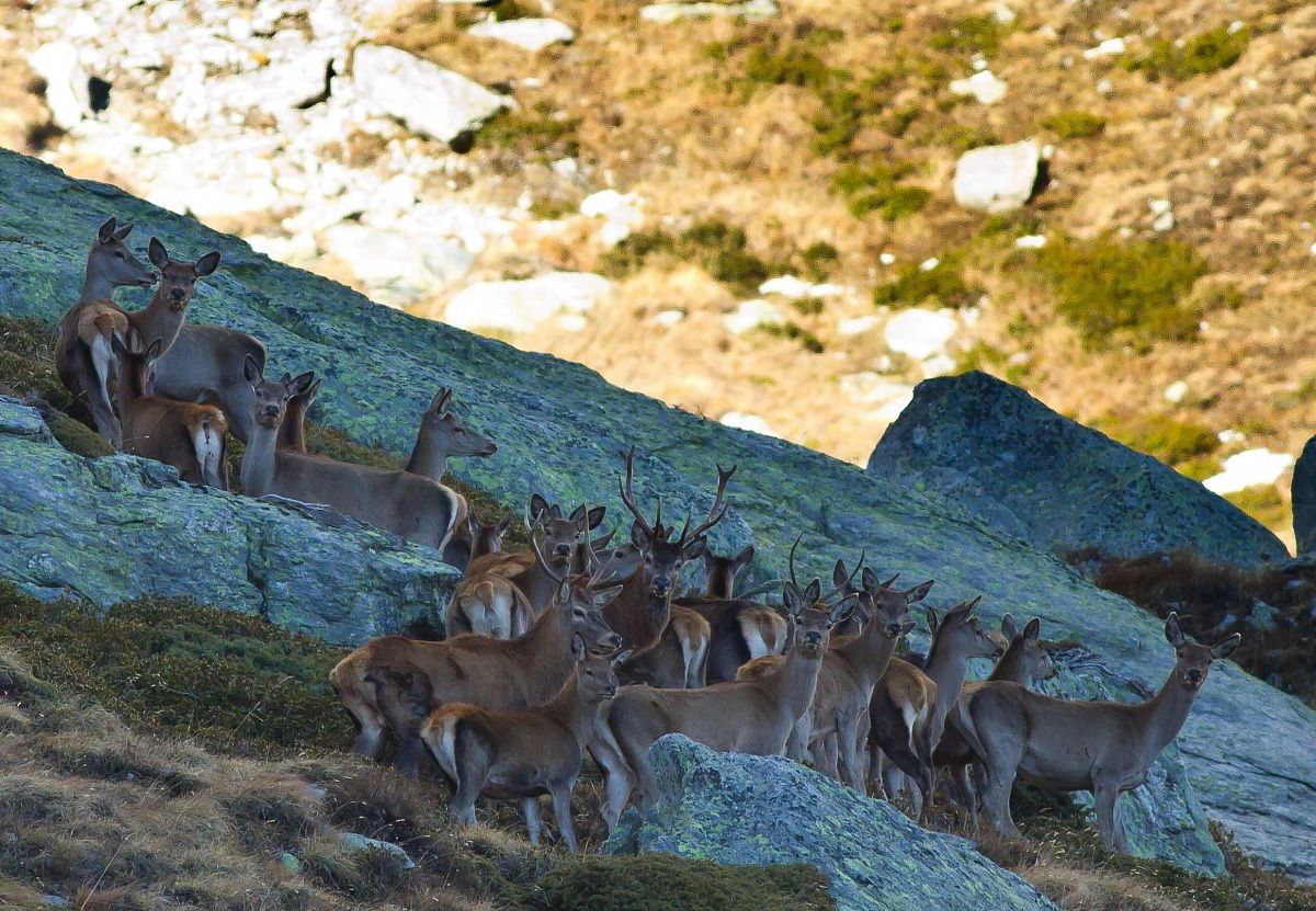 someone is watching me ..