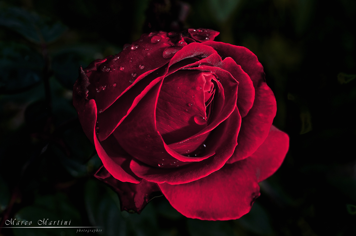 You may call them if you want ...