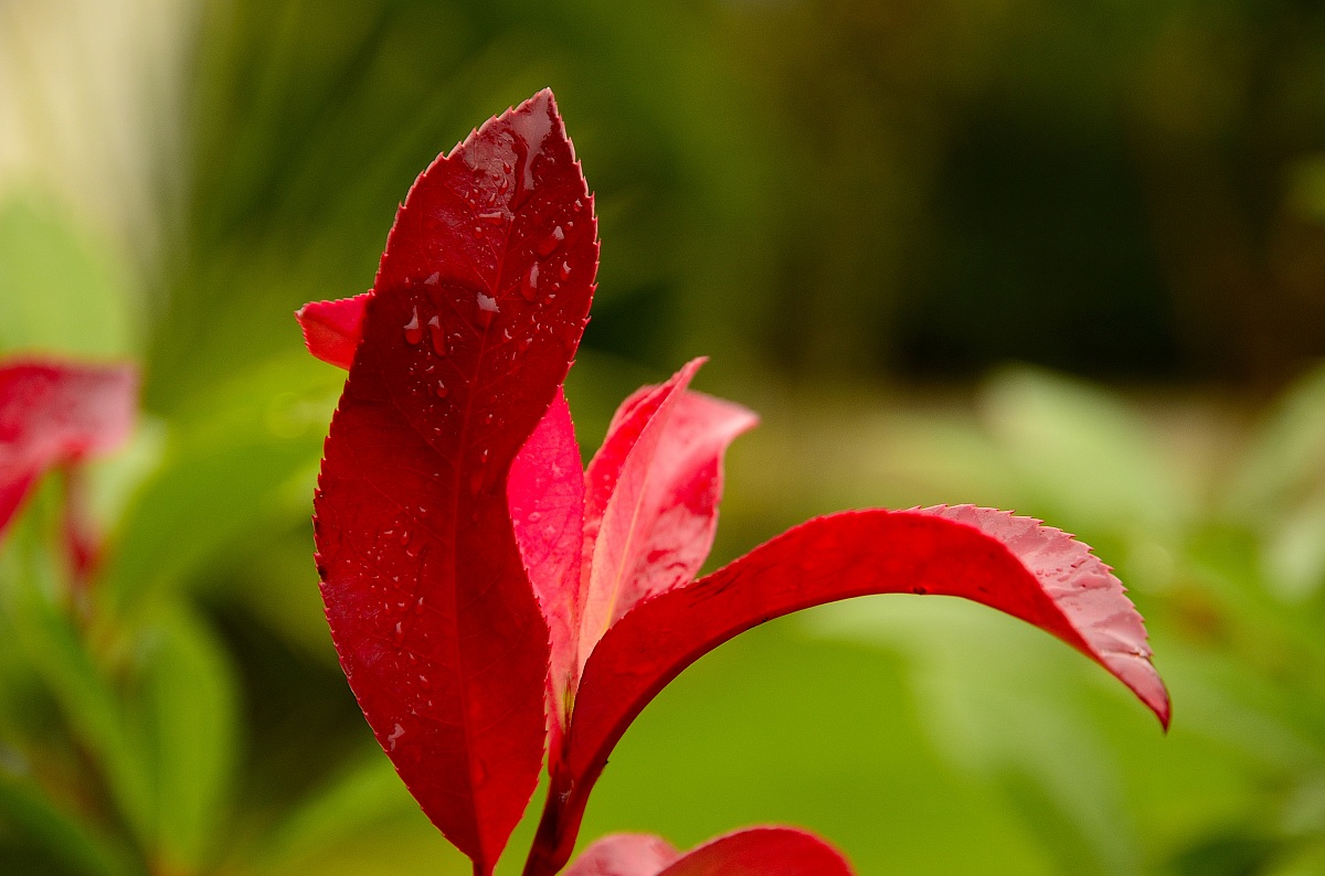 Themes and shades' autumn 2