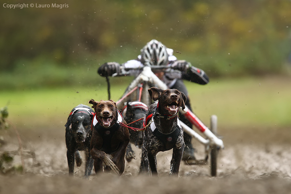 go! Okey Okey GO go go go go