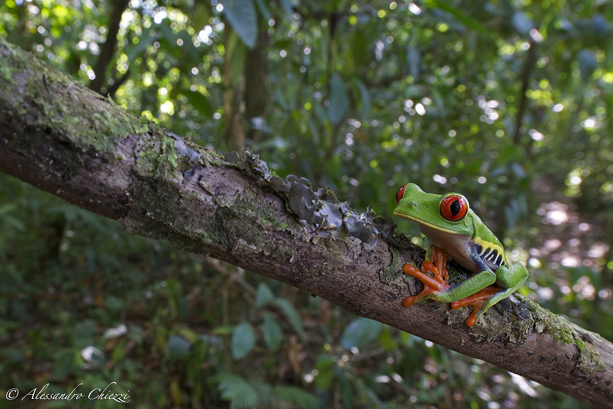 Its environment .....