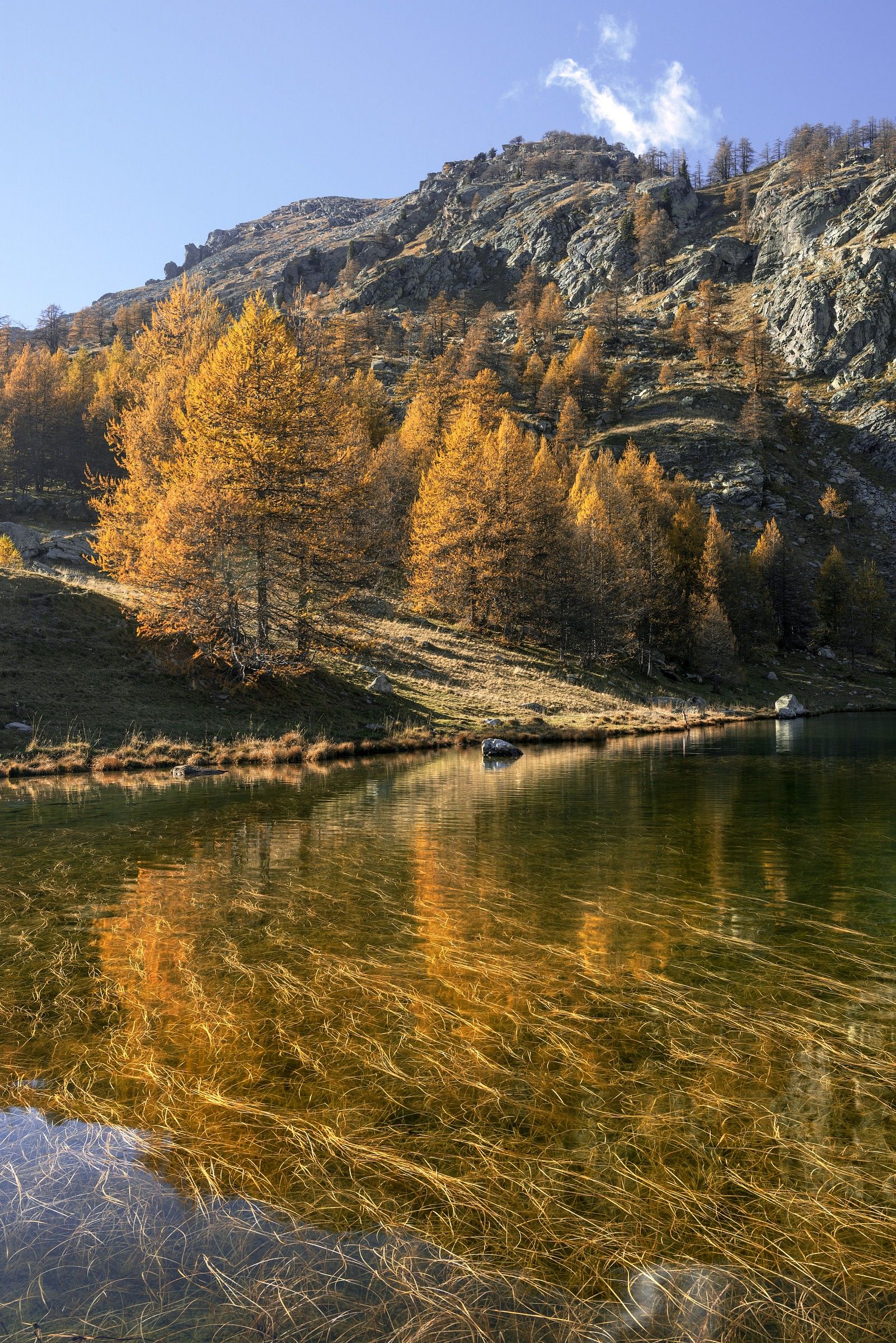 Lac des grenouilles: reflections and transparencies