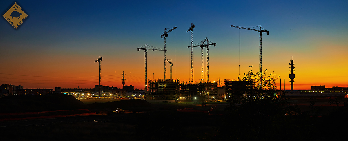 Artificial trees at sunset.