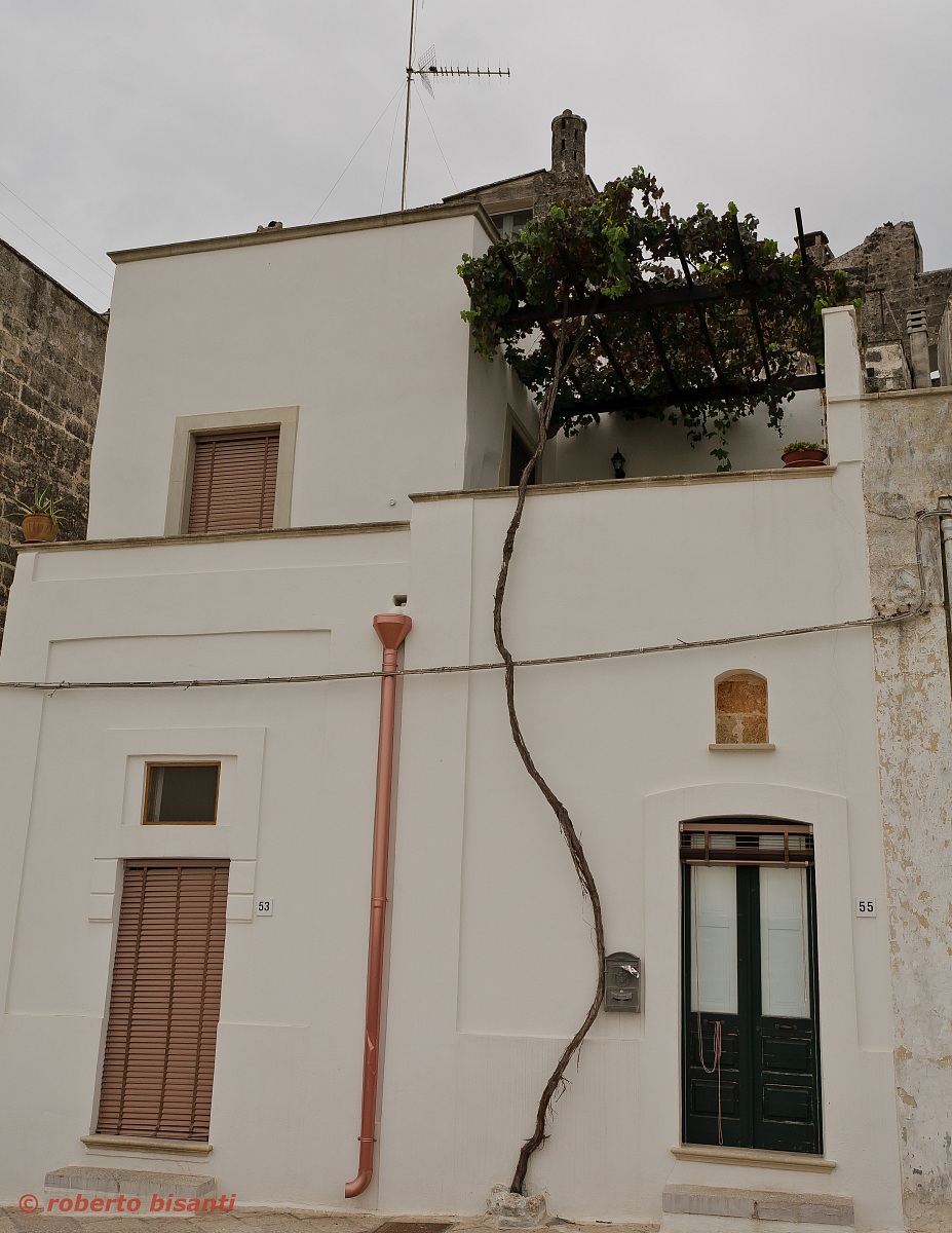 the strength of the "lives" ....