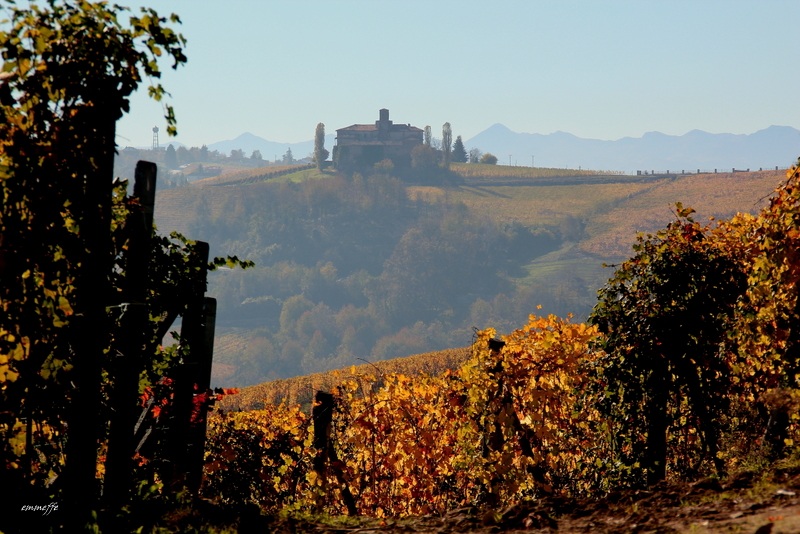 Langhe - Autunno 2