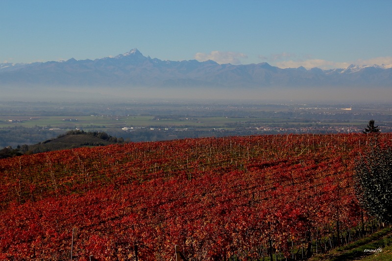 Langhe - View of Monviso
