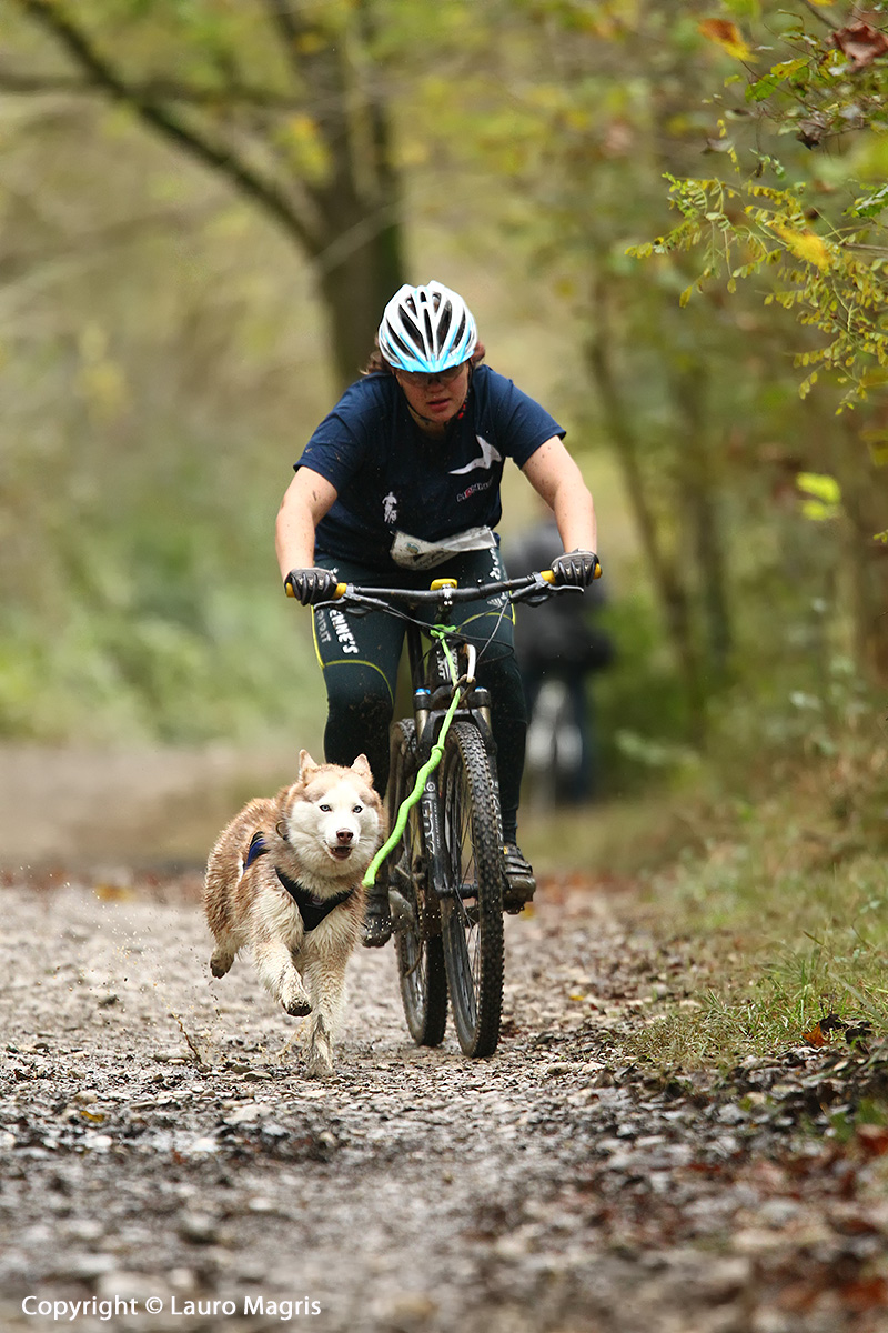 SledDog Campionato Mondiale su terra