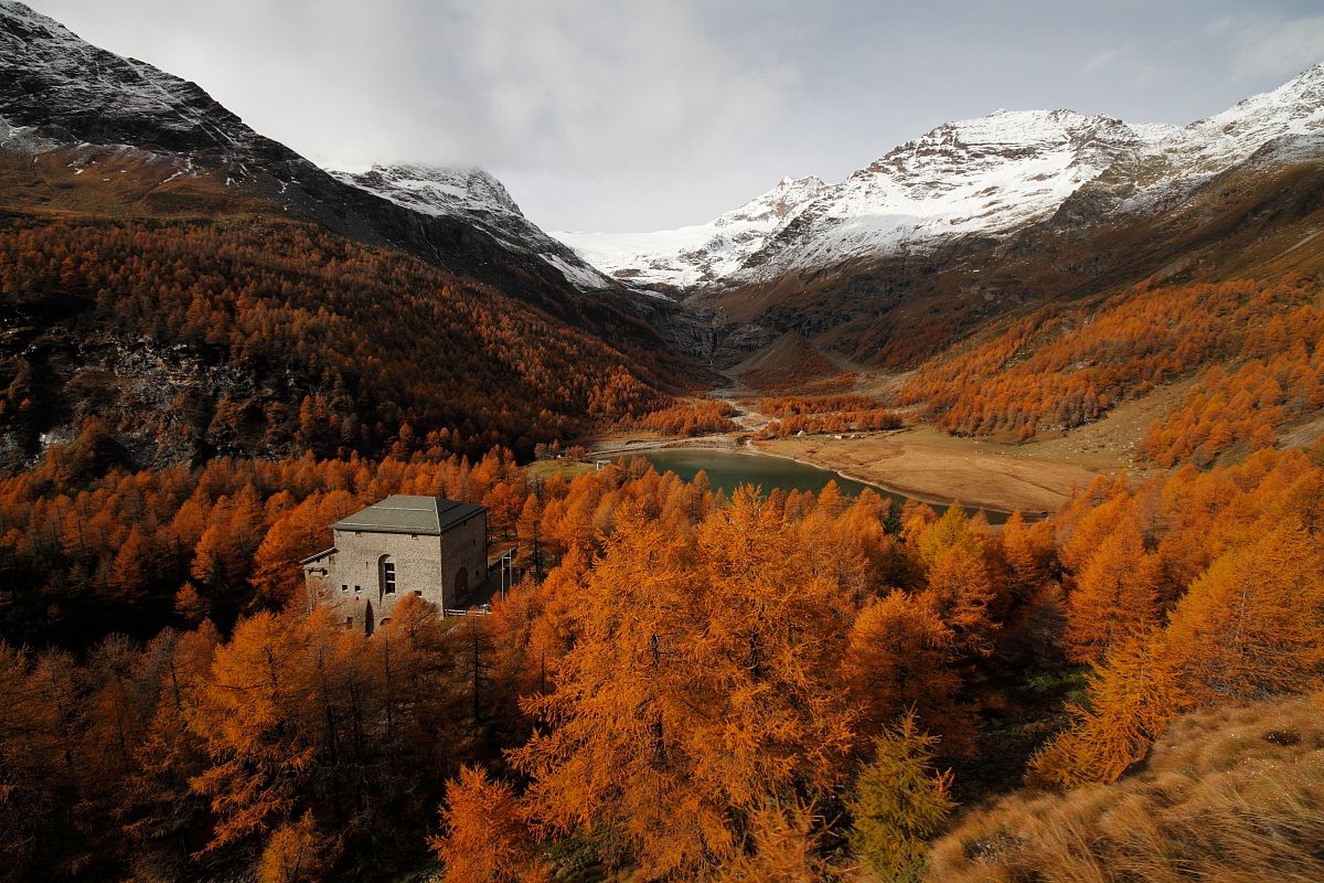 Autumn colors from the Bernina Express