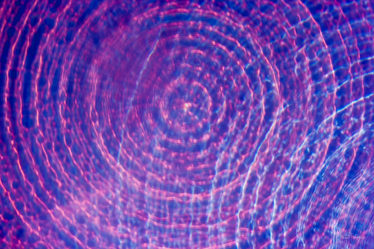 non obbiettivo viola