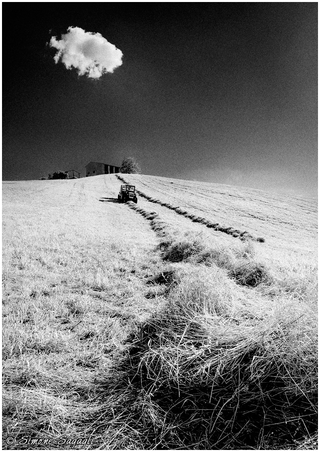 In the company of a cloud