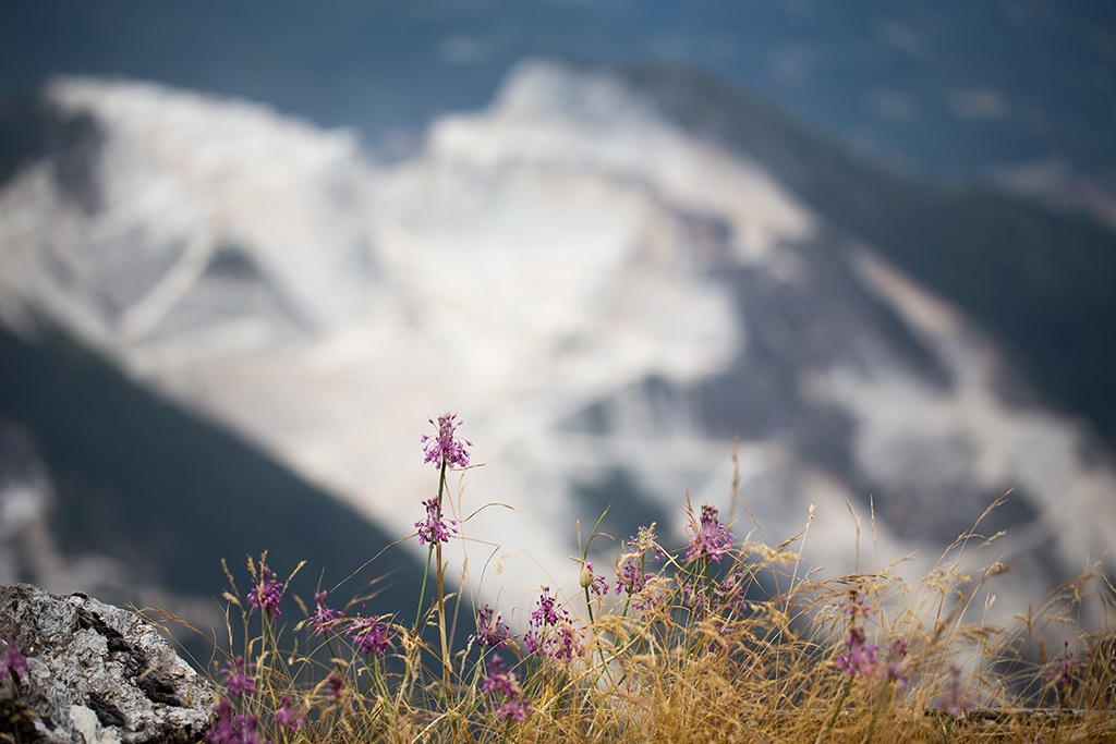 Sullo sfondo le cave