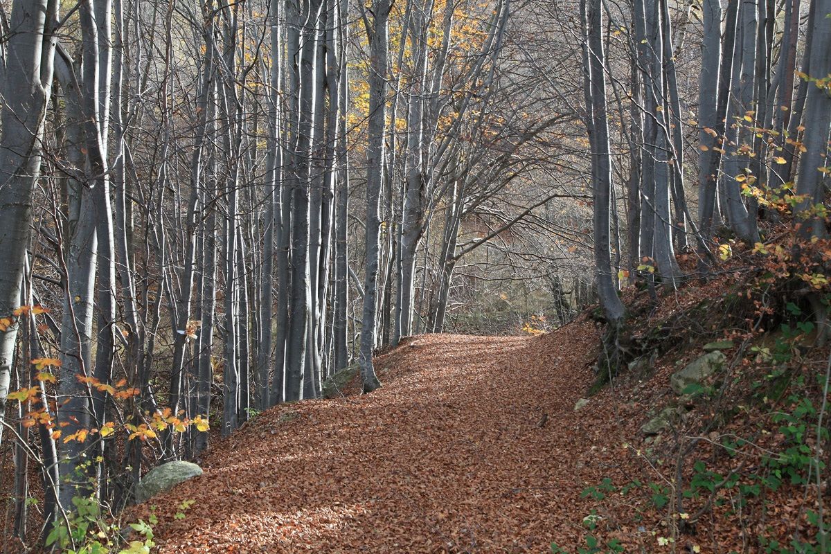 aspettando l'inverno