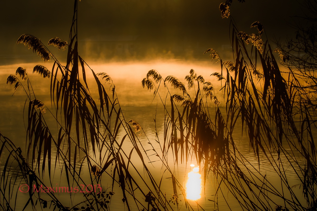 ... alba sull'Adda  ...