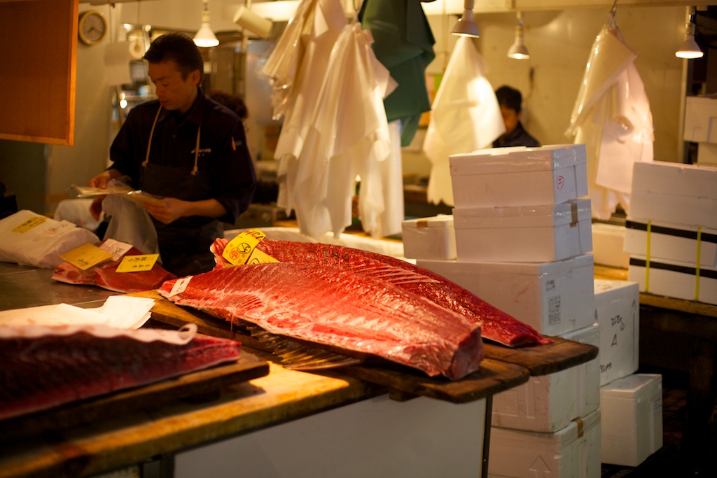 Tsukiji - Tokyo Mercato del pesce