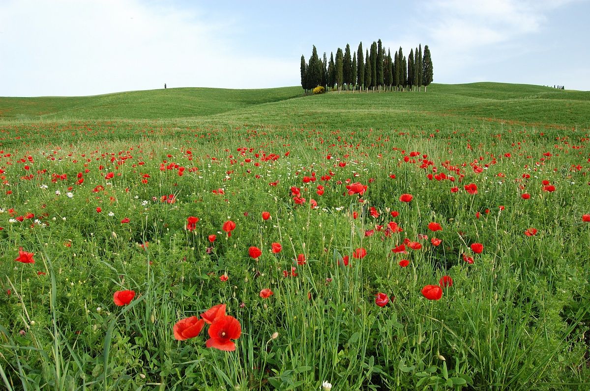 Val d'Orcia