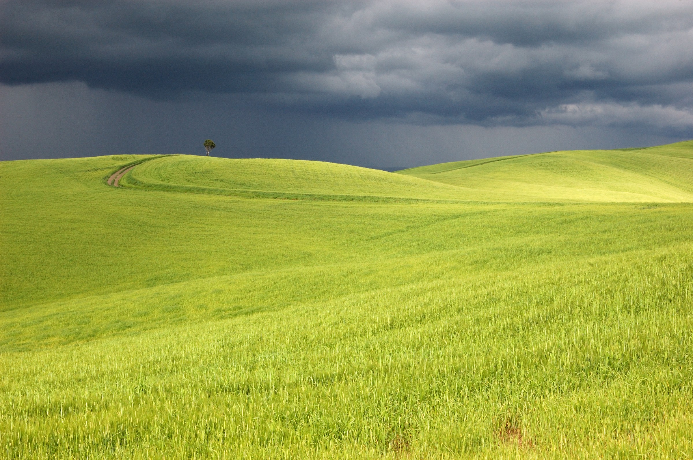 Crete Senesi