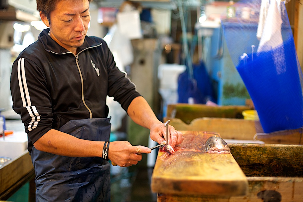 Tsukiji - Tokyo Mercato del pesce