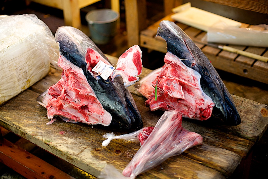 Tsukiji - Tokyo Mercato del pesce