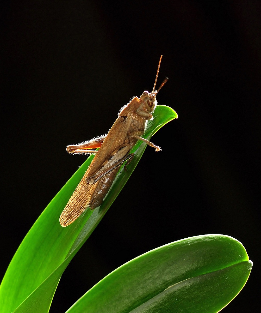 Today I keep a very sore head ...