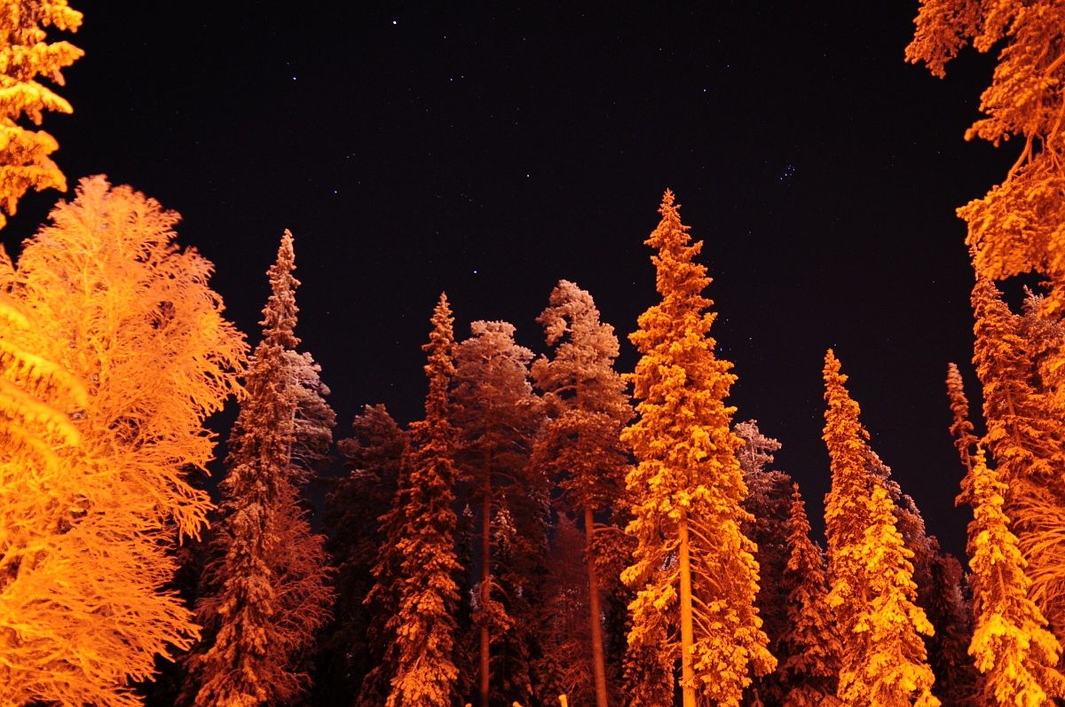 Night in Lapland