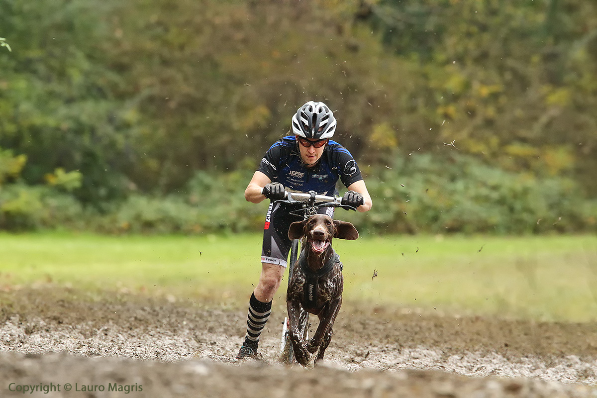Dog Sledding Sports: Push