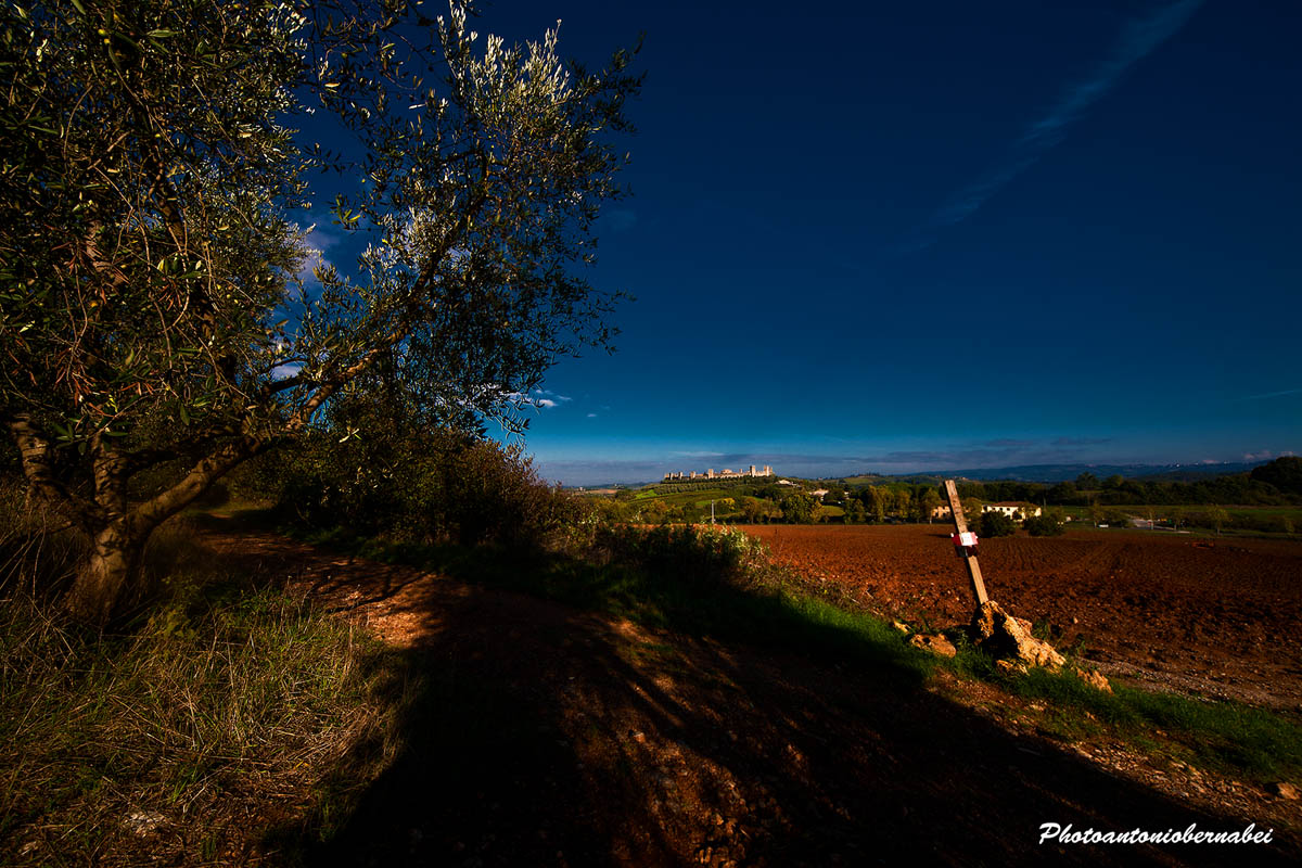 Monteriggioni(Siena)