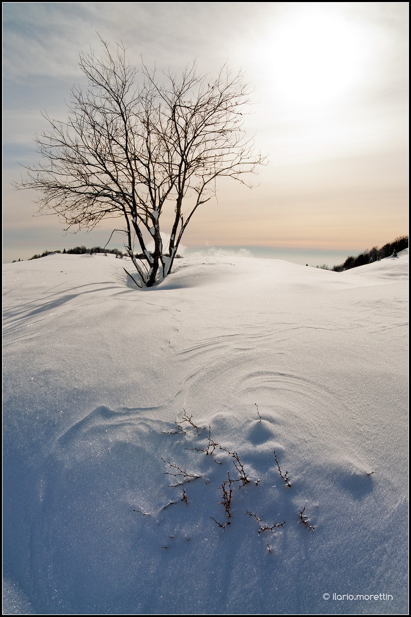 Controluce sul crespino sommerso