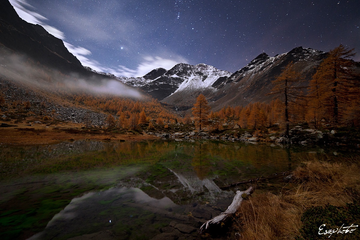 Mama,I'm coming home