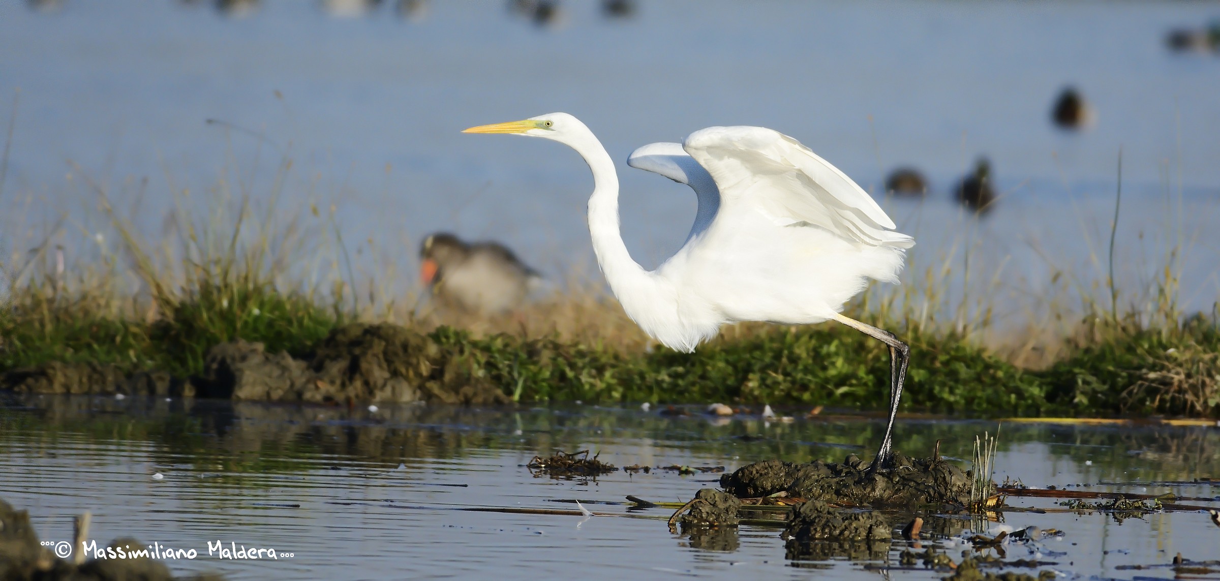 partenza...viaaaa!!!