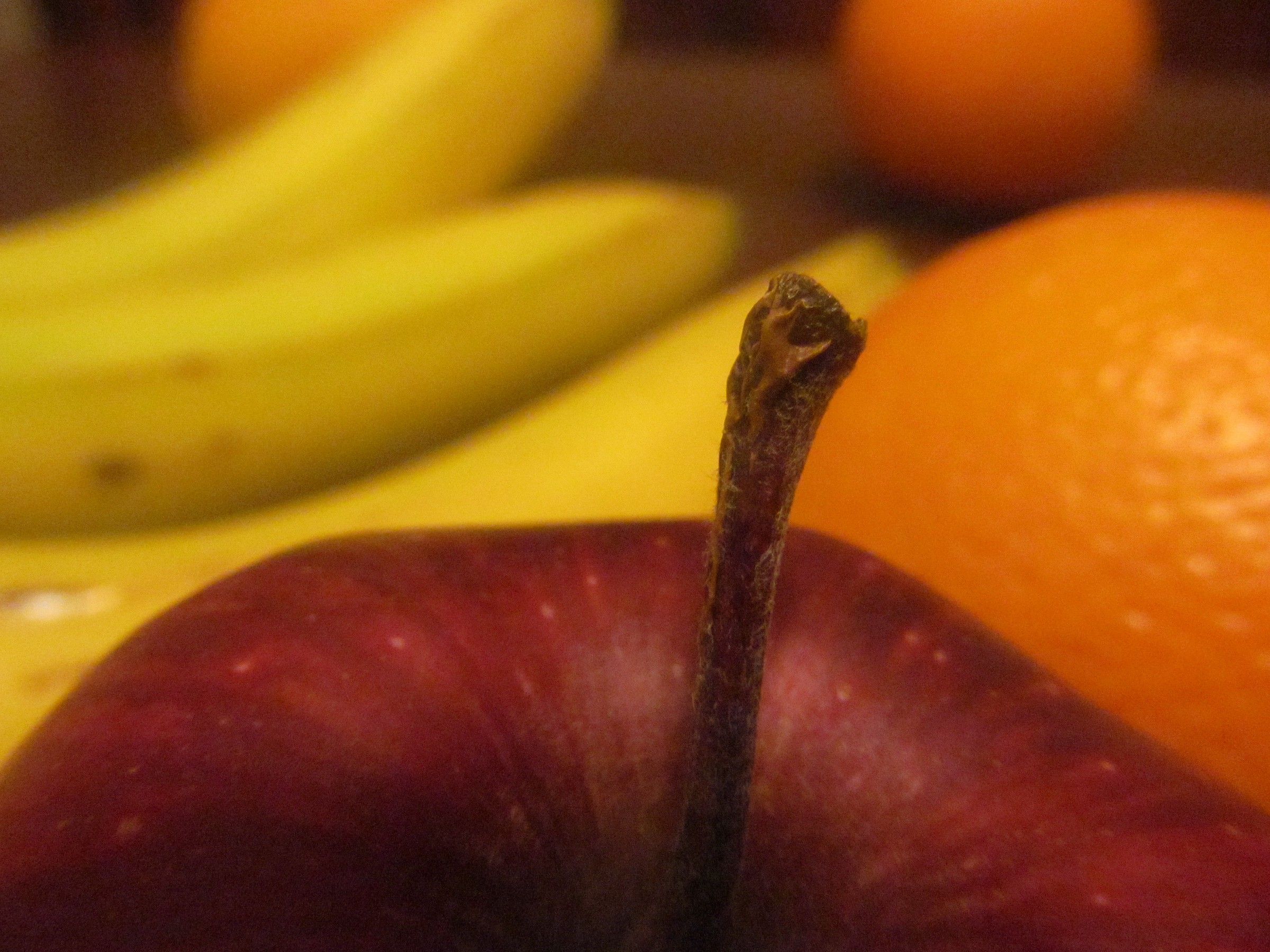 Tanta frutta buona!!!