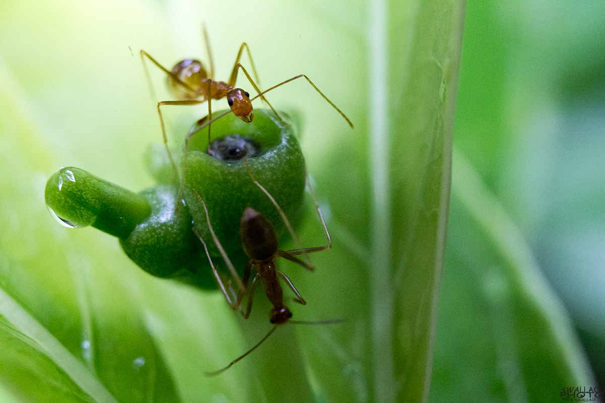 On National Geographic in April 2014