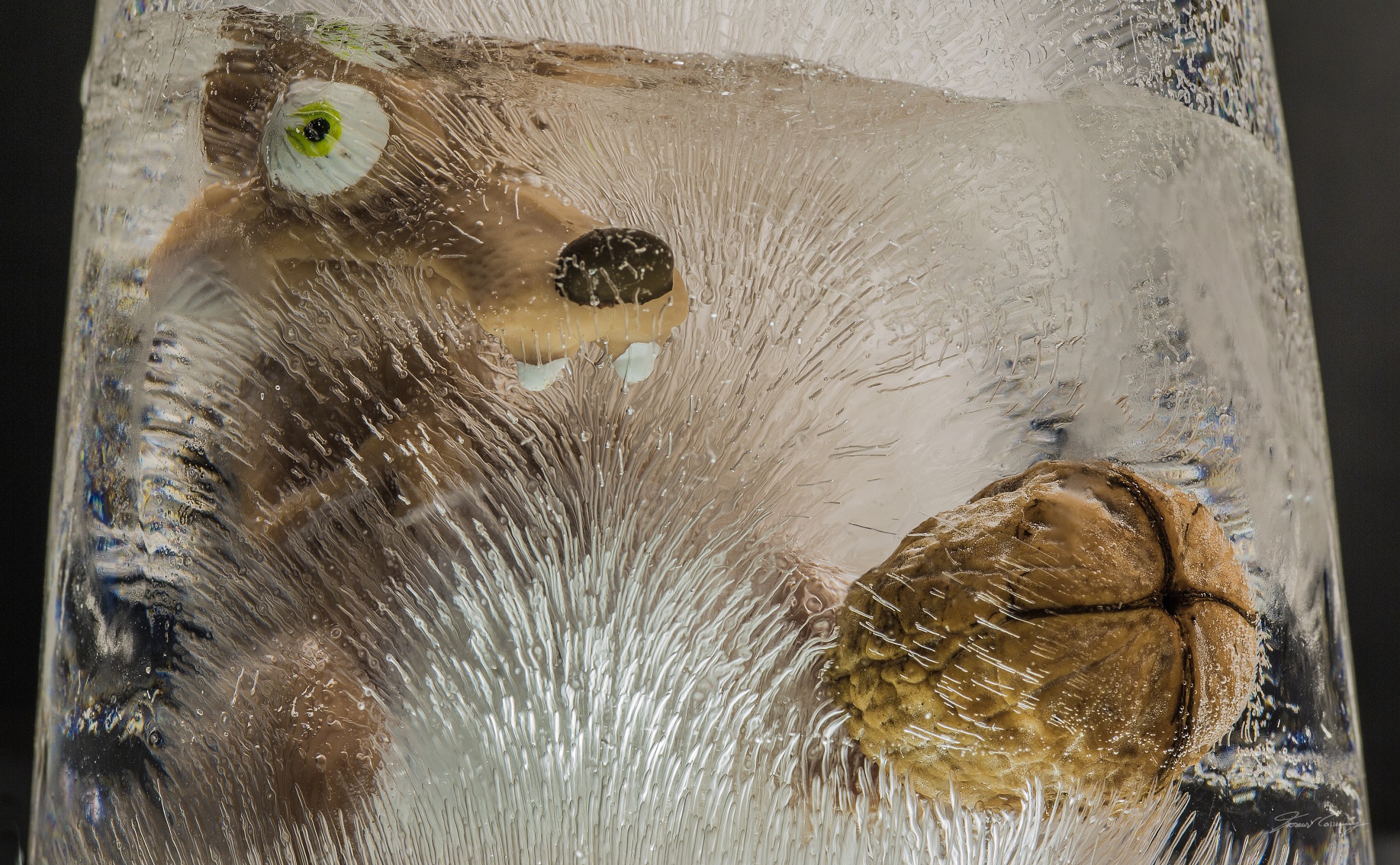 ..pronto per un altra avventura...