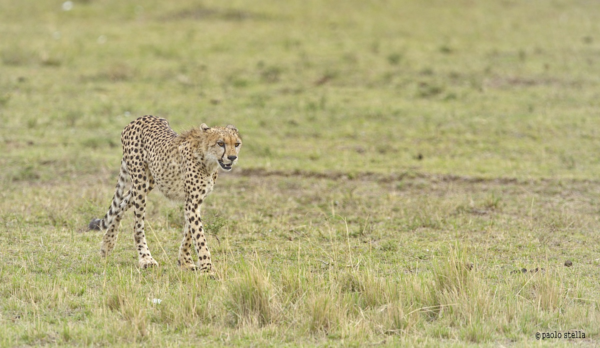 what a disappointment .....