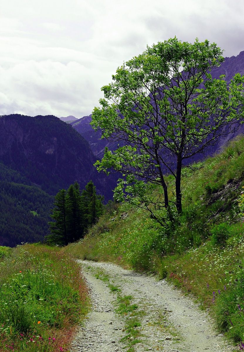 Sentiero di montagna