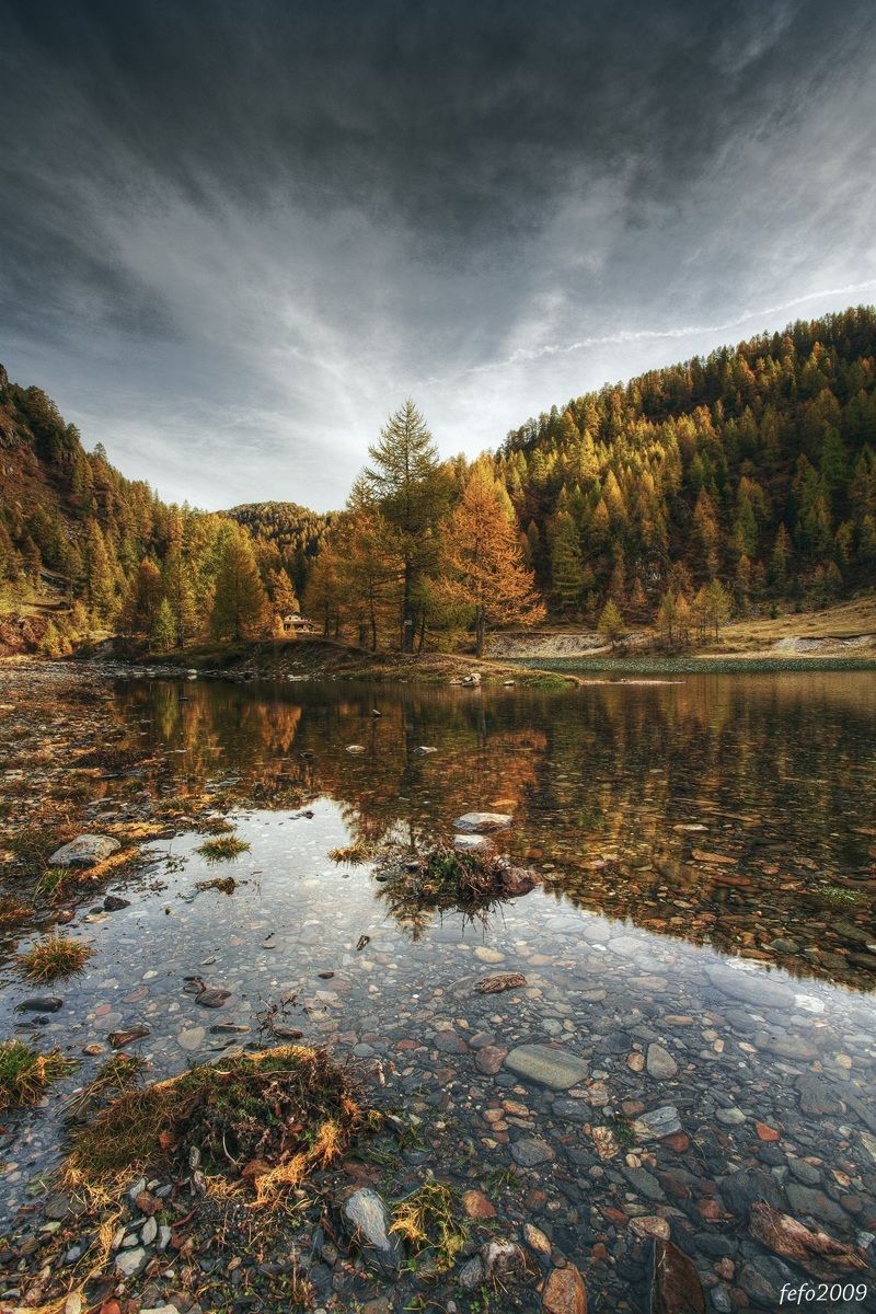 reflection and transparency in the mountains II