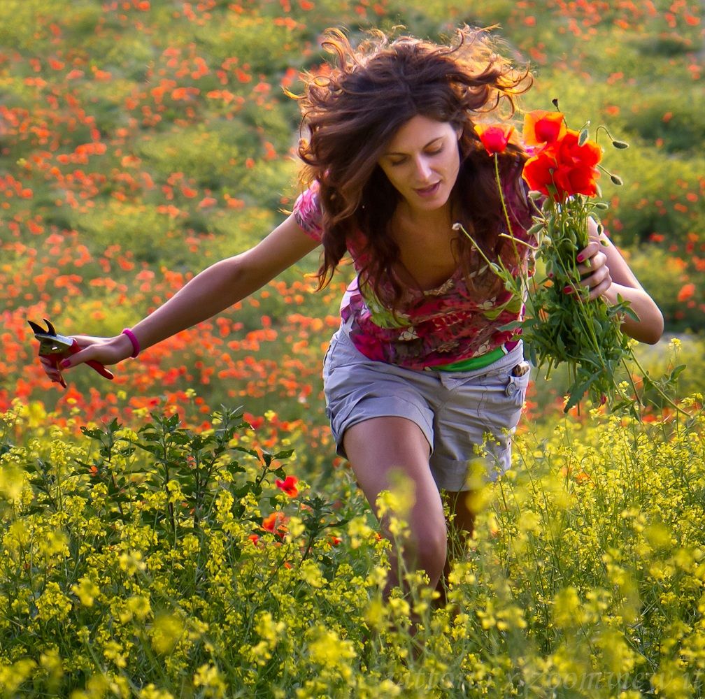 elena and the poppies