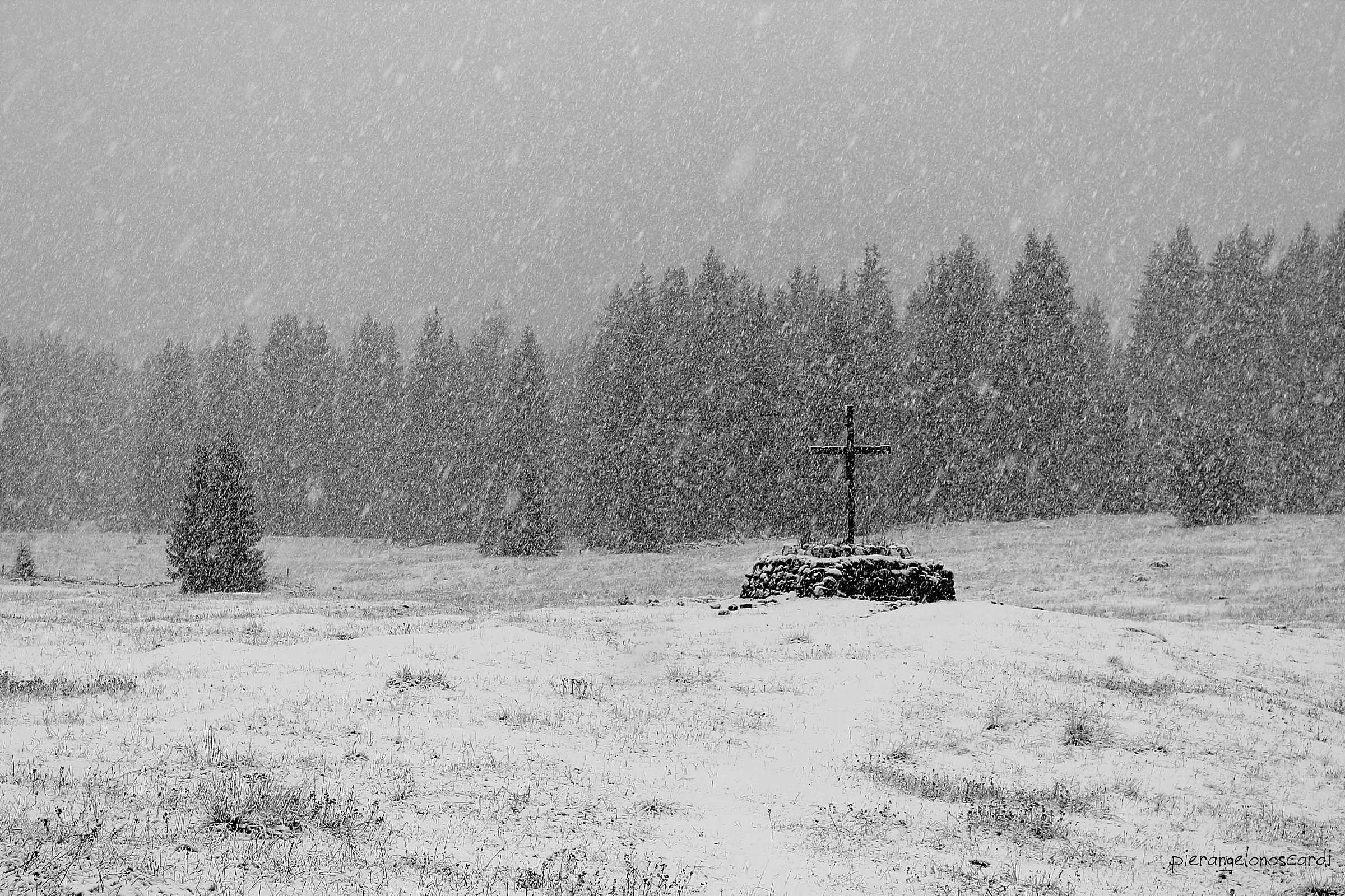 15/11 snowfall in Marcesina 1