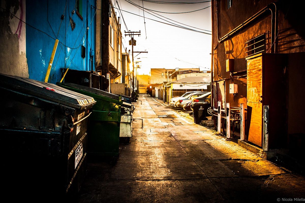 Los Angeles Venice Street