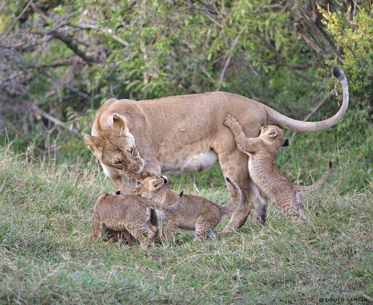 now ..... unless there .....