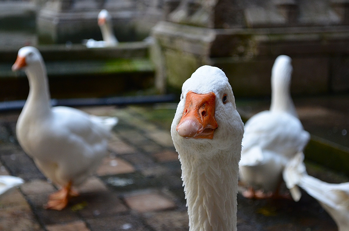 And you, what do you want from me?