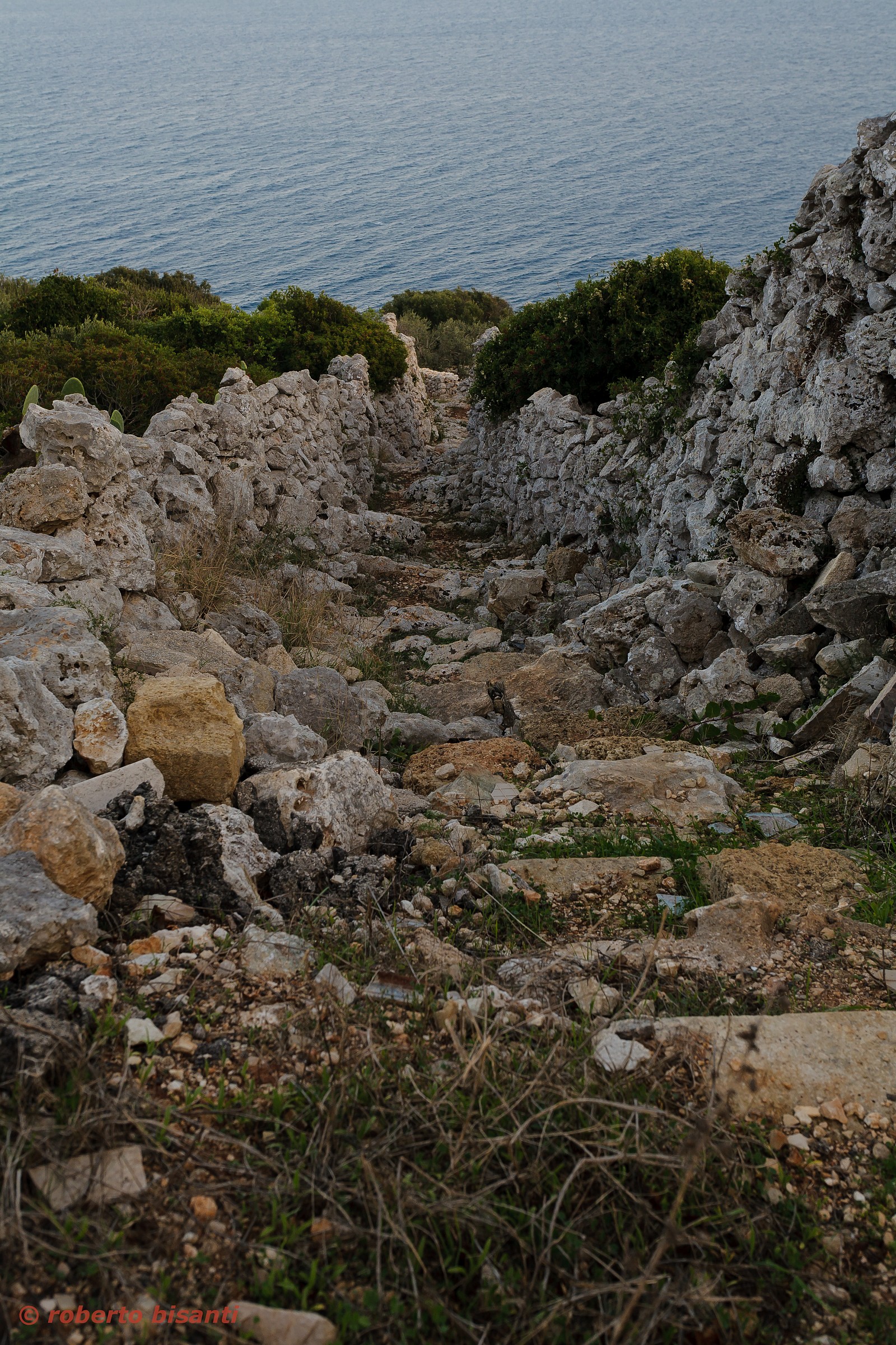 old cattle track to the sea 1
