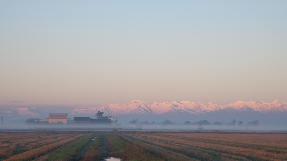 a stroll in the countryside