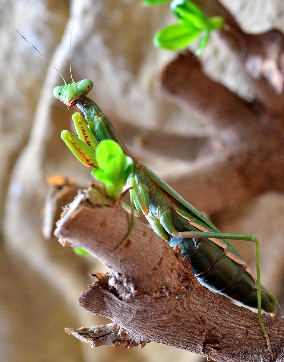 That physical ....! ....