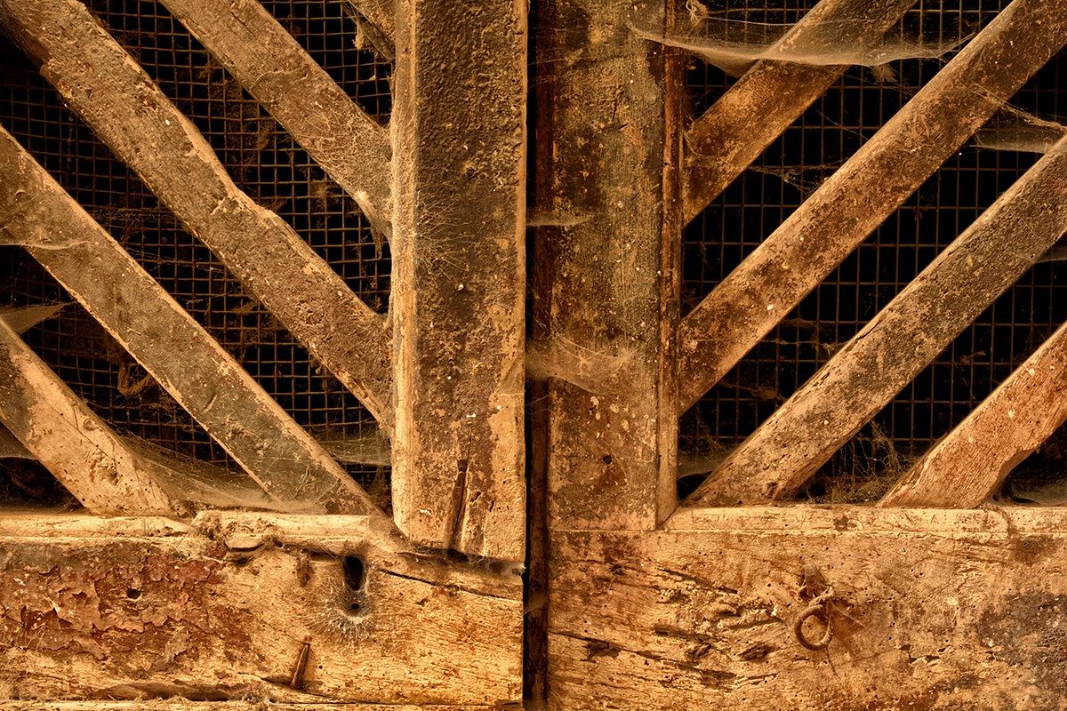 ...Quella Vecchia Cantina