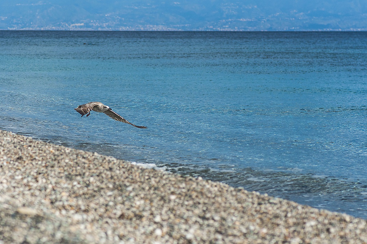Between Sicily and Calabria