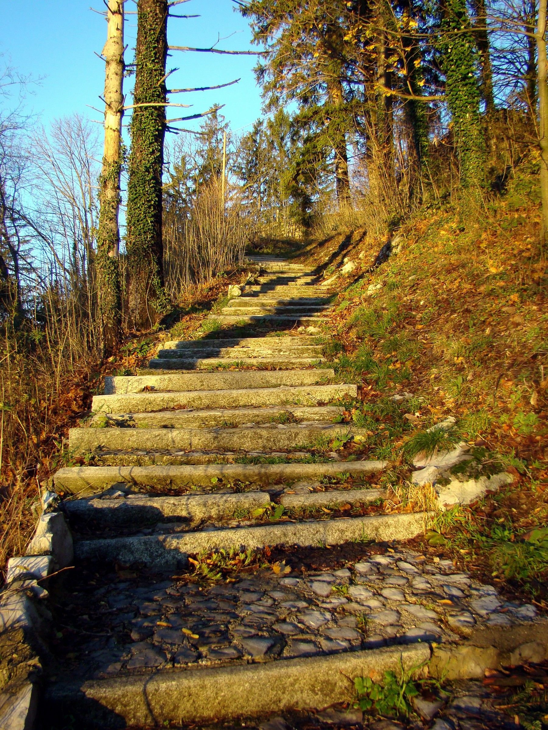 the path of the autumn days